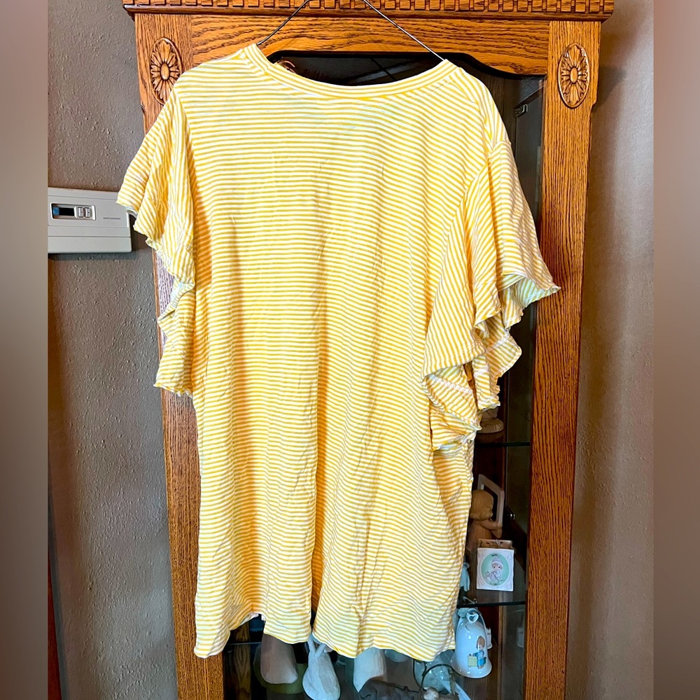 Terra & Sky Women’s Top Size 2X